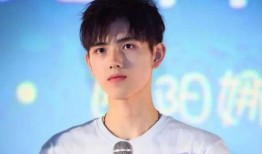 陈哥武汉爆料视频最新,揭秘疫情背后惊人真相